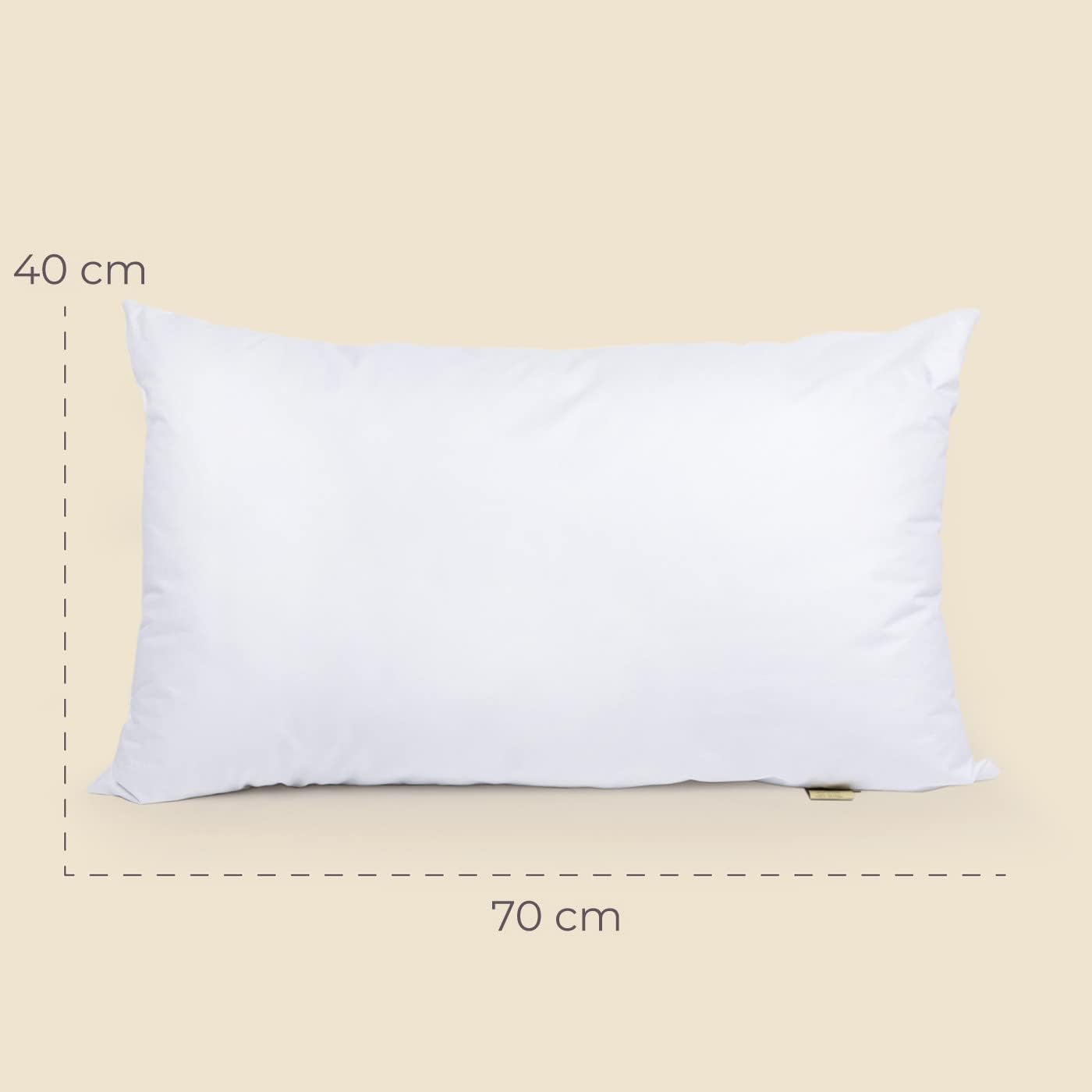COPPIA GUANCIALI SOFT CLOUD